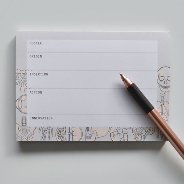 Muscle Anatomy A6 Notepad