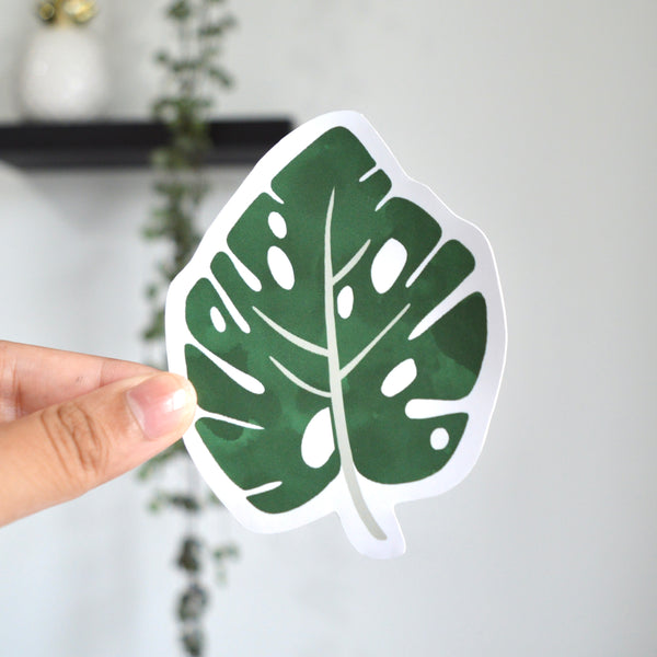 Monstera Leaf Sticker