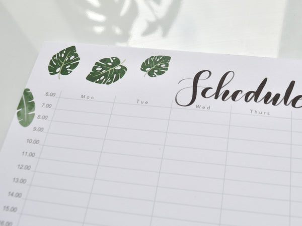 Monstera A4 Weekly Schedule