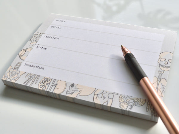 Muscle Anatomy A6 Notepad