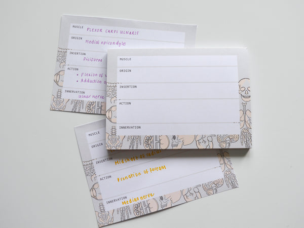 Muscle Anatomy A6 Notepad
